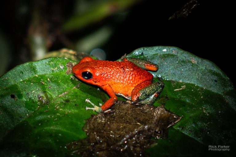 468402006_10161751993321281_217131515069166973_n