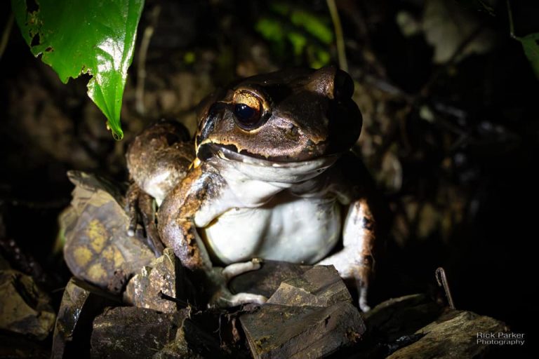 468413437_10161751993616281_6837380543525744400_n