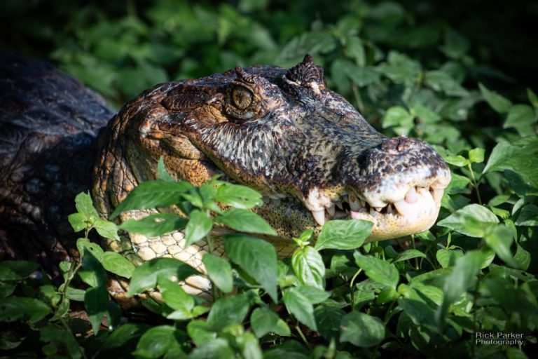 468417359_10161752936981281_7711868864256456538_n