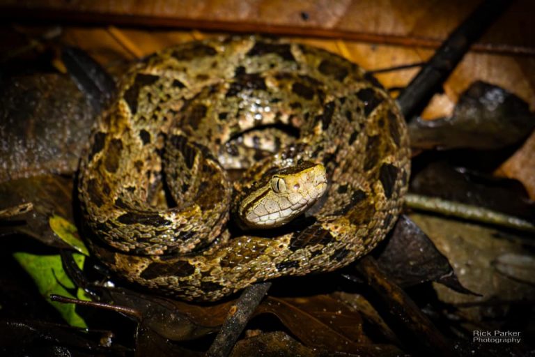 468420658_10161751993131281_2873201123247978292_n