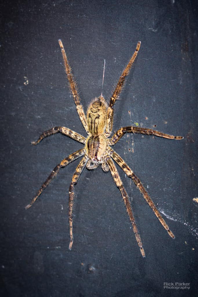 468421897_10161751993581281_1097954789261515510_n