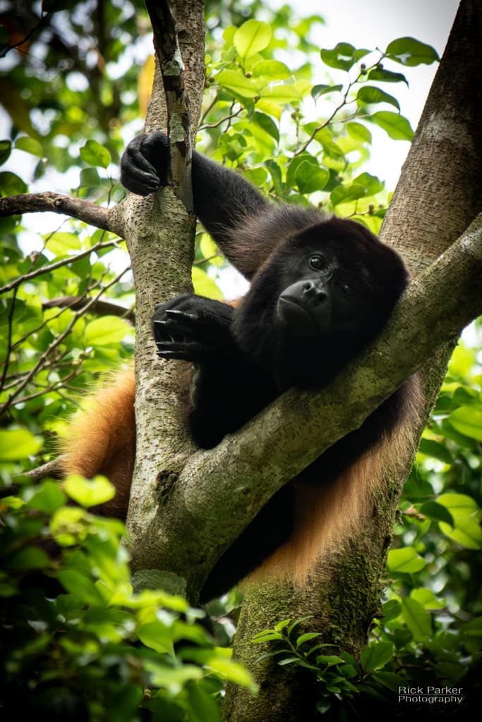 468505549_10161752936936281_3254207757700711154_n