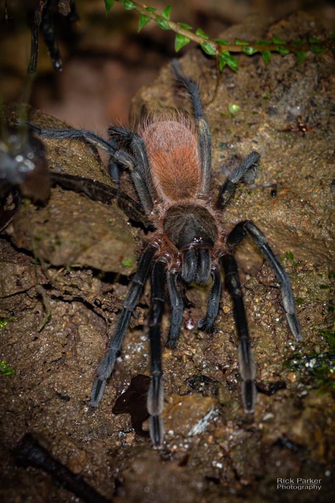 468510386_10161751992991281_8357230686548331565_n