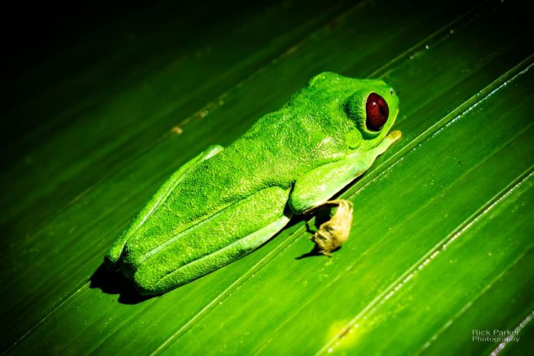 468559898_10161751992966281_2706200227321221032_n