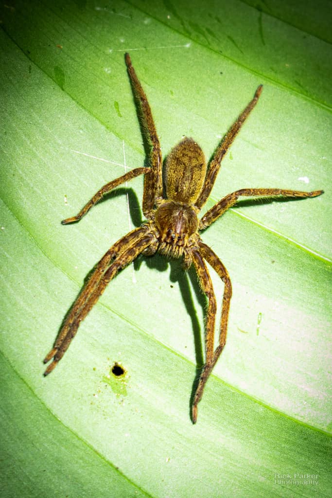 468560731_10161751993031281_5807266760660657014_n