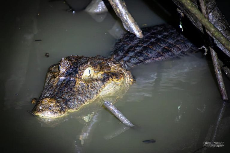 468603417_10161751993391281_4319006214214175303_n