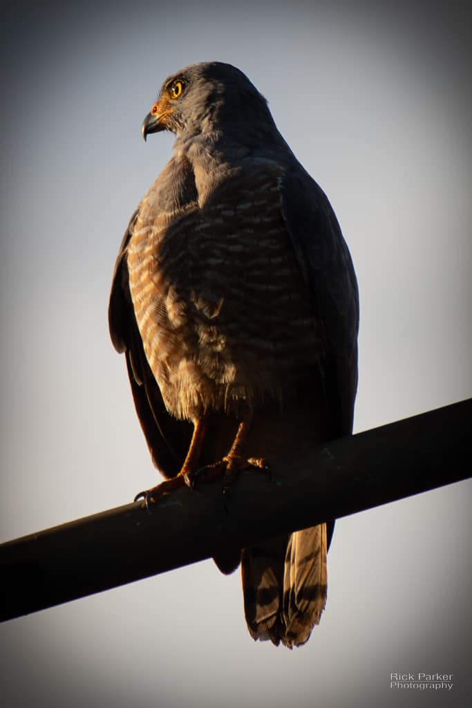 468606444_10161752937866281_851801995550391640_n