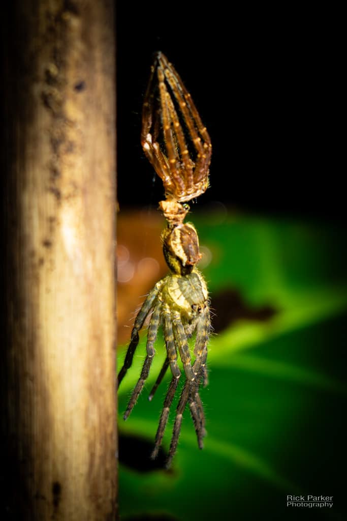 468618822_10161751993016281_8521526985335750734_n