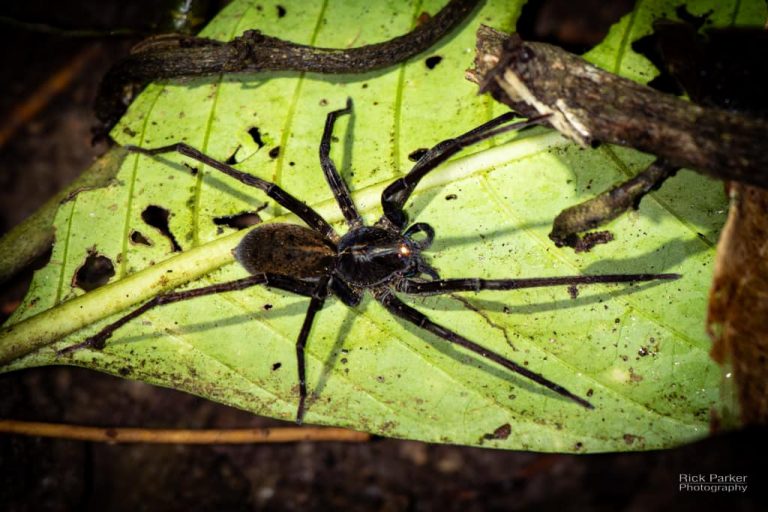 468715801_10161751993651281_1067815867987837450_n