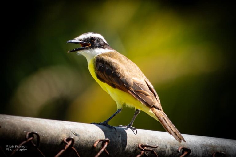 468716989_10161752937811281_233279509404416600_n