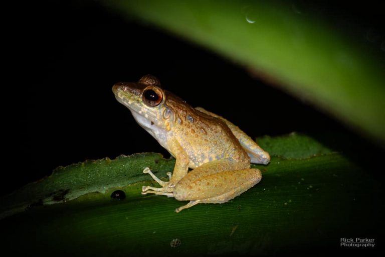 468821815_10161751993496281_4507713731381625584_n