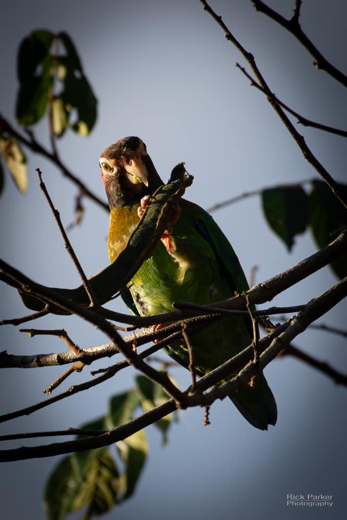 468839197_10161752937596281_2018836521623199557_n