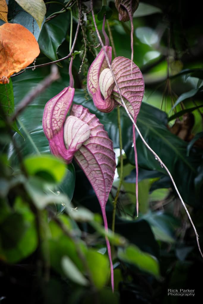 468870766_10161732039731281_614735262298959970_n