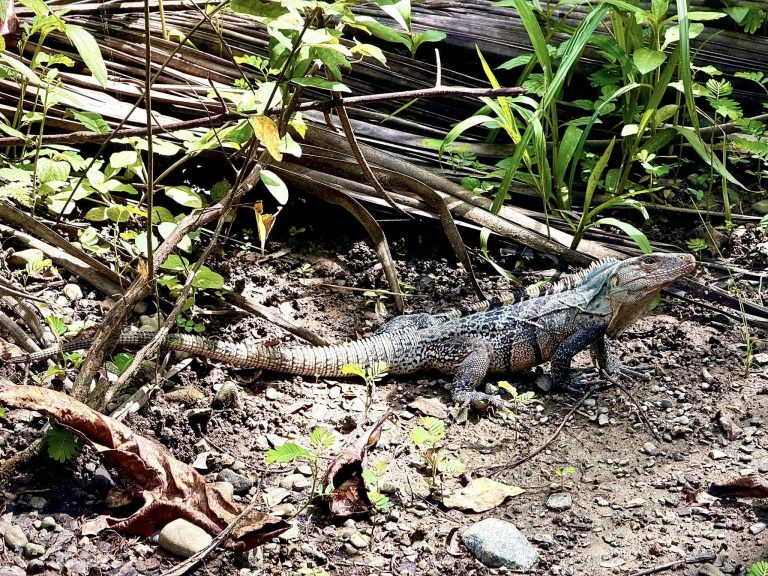 468941366_10161751350701281_233121676169947665_n