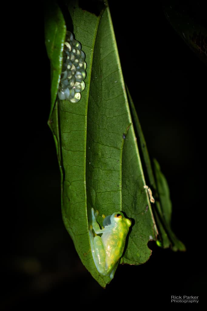 468949785_10161751993041281_7688425569980072916_n