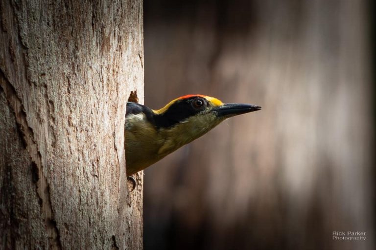 469027167_10161752937396281_3502125424429000913_n