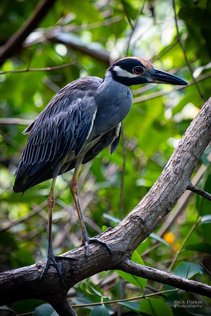 469044587_10161752937821281_6720107163959203363_n