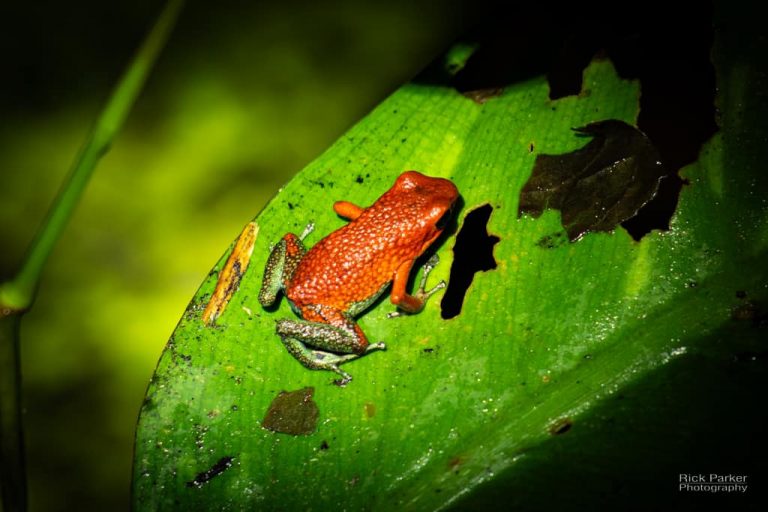 469044590_10161751992981281_8689089152754466521_n