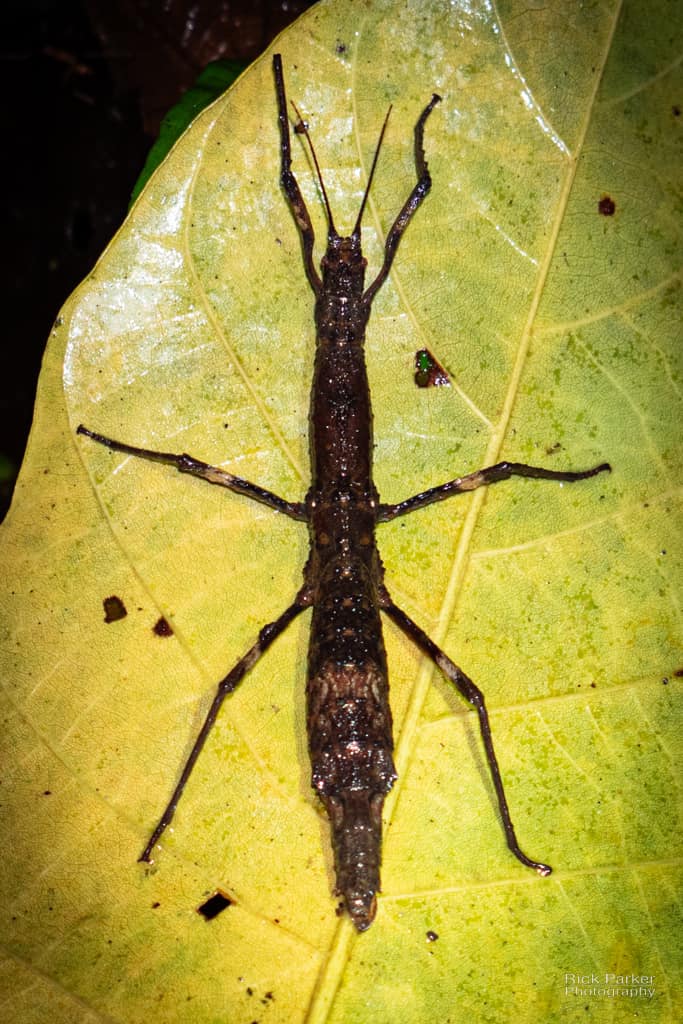 469124205_10161751993661281_6885547611694814650_n