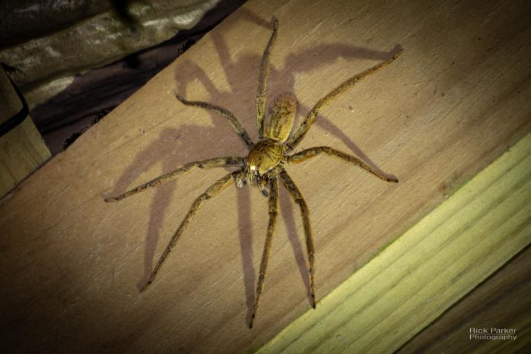 469159430_10161751993486281_4882779634759416565_n