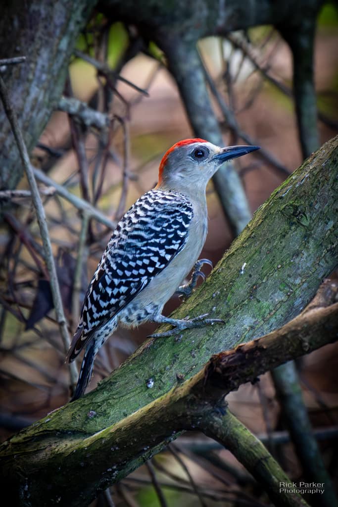 469185995_10161752937621281_8583135686023759340_n