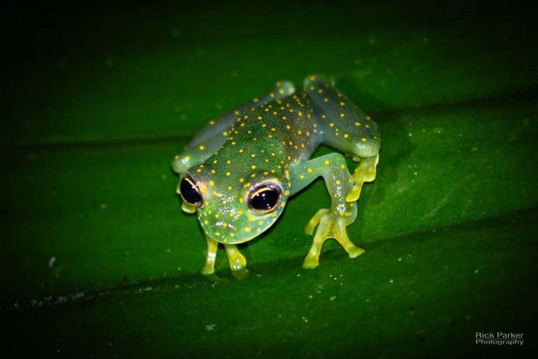 469210602_10161751993266281_5501129970376274864_n