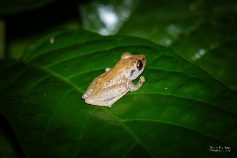 469311279_10161751993346281_7144188270967748510_n