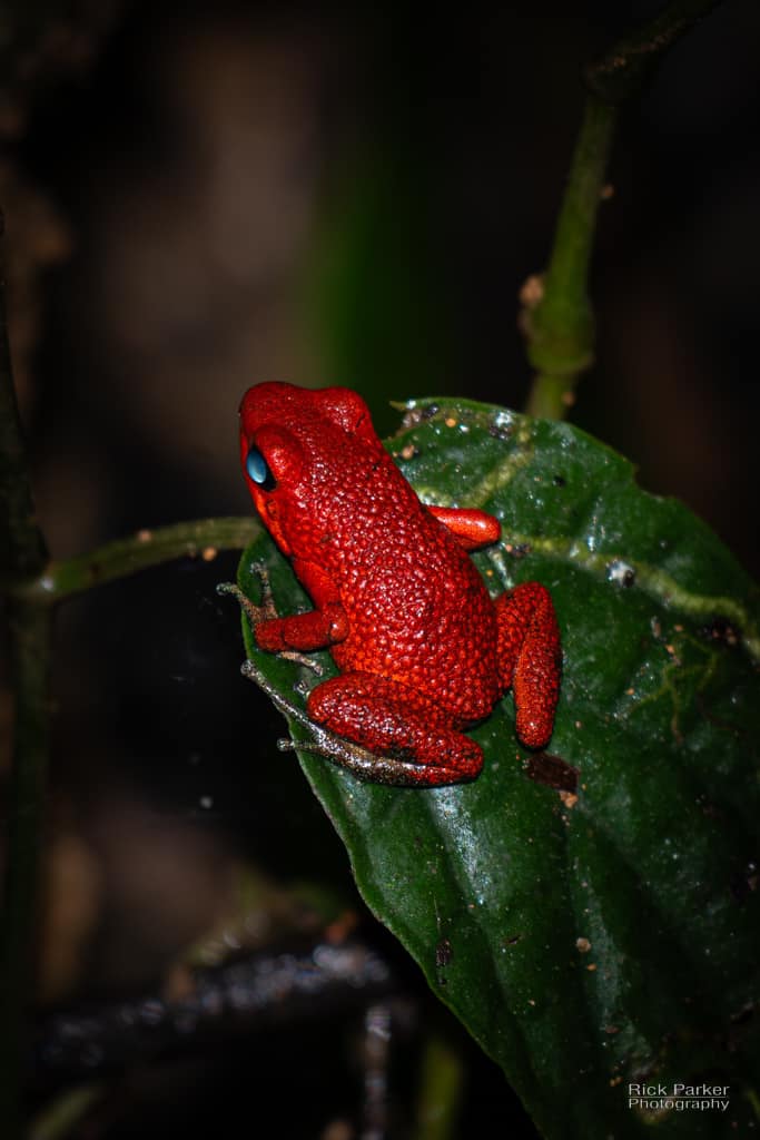 469325861_10161751993686281_3597797817581071085_n