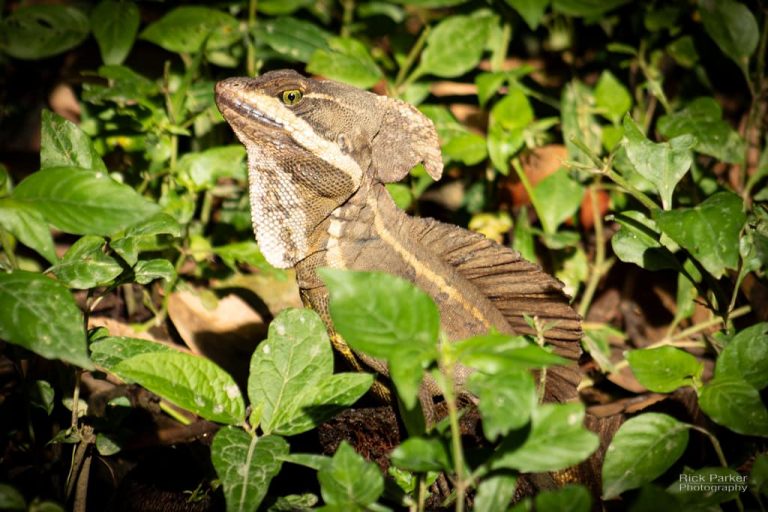 469348151_10161752937931281_7432330417622633483_n