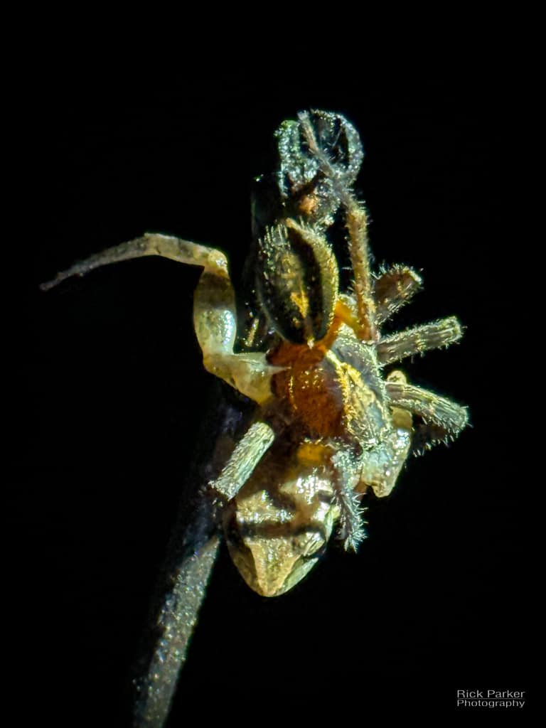 469361648_10161751993121281_5230222839983394688_n