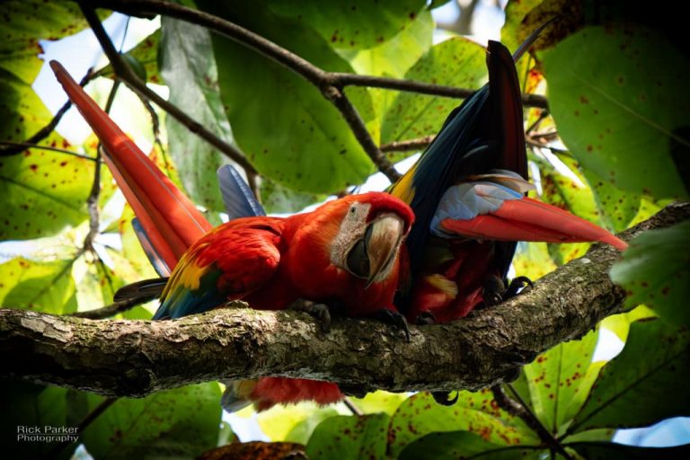 469386099_10161752937631281_4114168734347221792_n