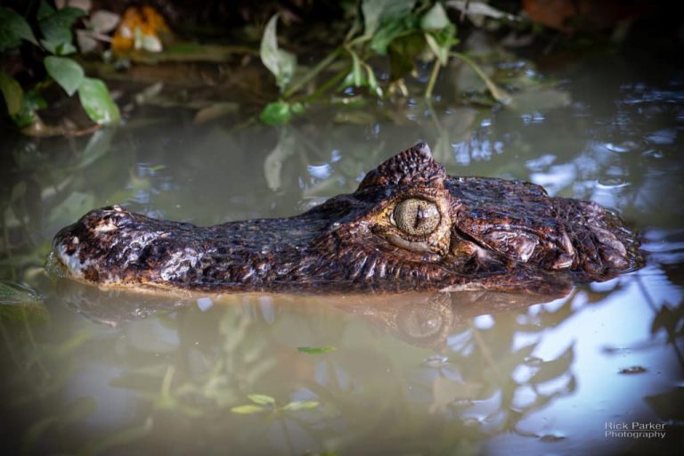 469388822_10161752936941281_8658756302124064119_n