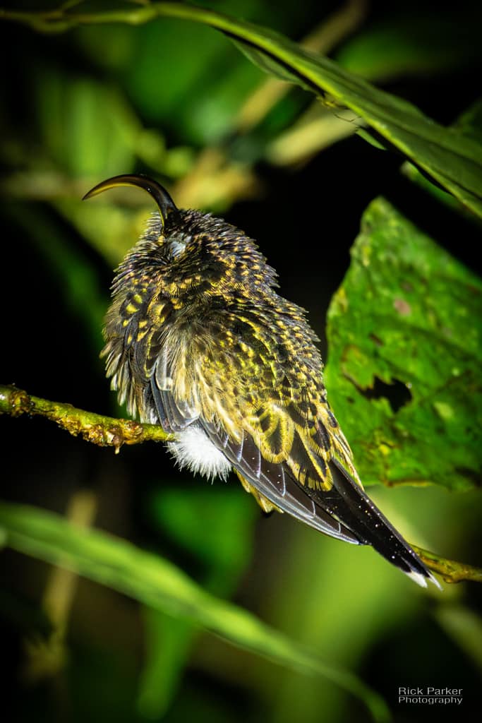 469482335_10161751993446281_2363328921799255819_n