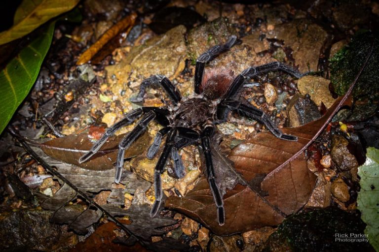 469483156_10161751993566281_6309768070589177953_n