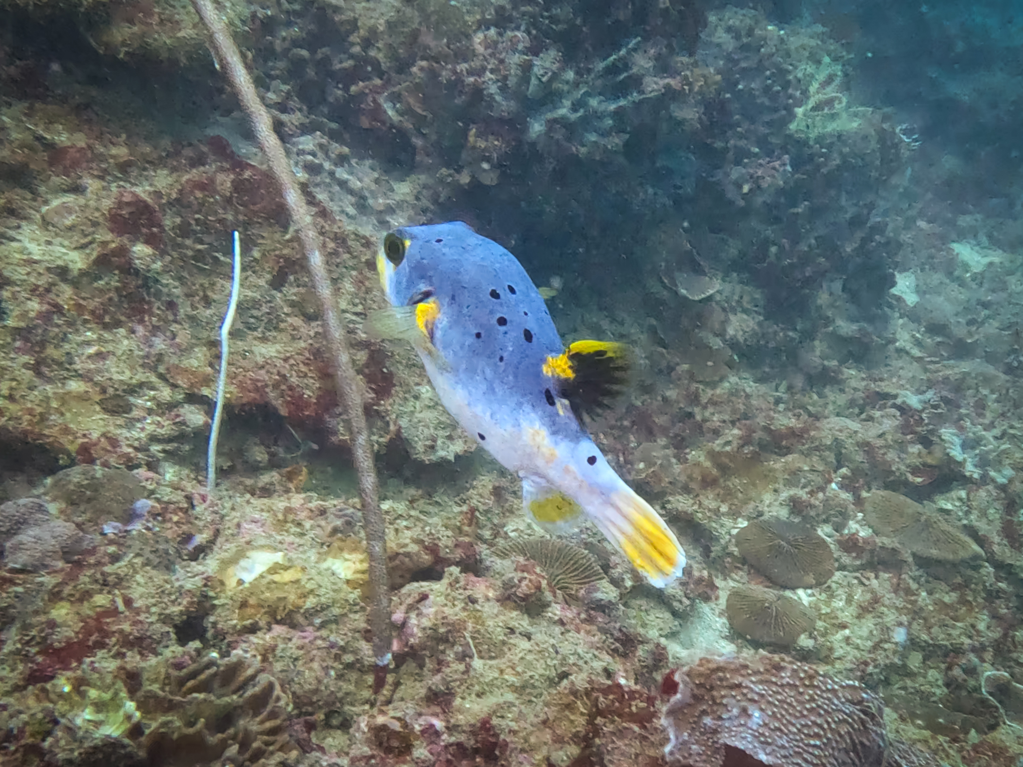 480900358_10161967151066281_171464197610702088_n