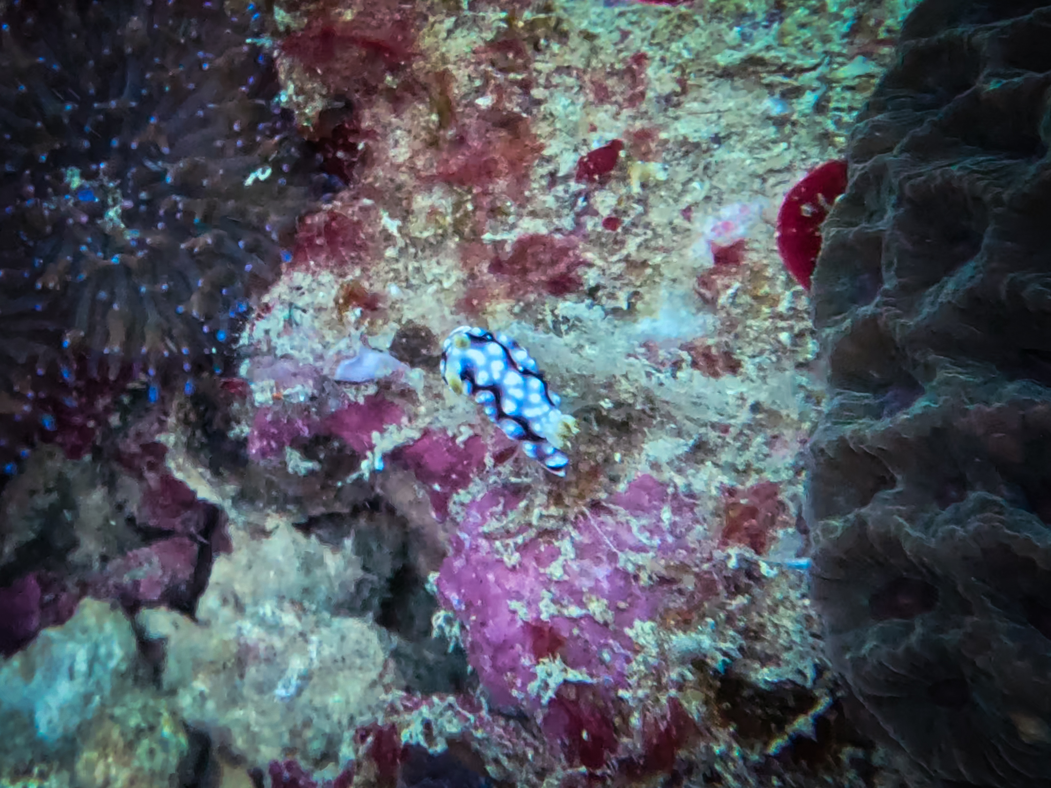 480902327_10161967150366281_3531784833599028348_n