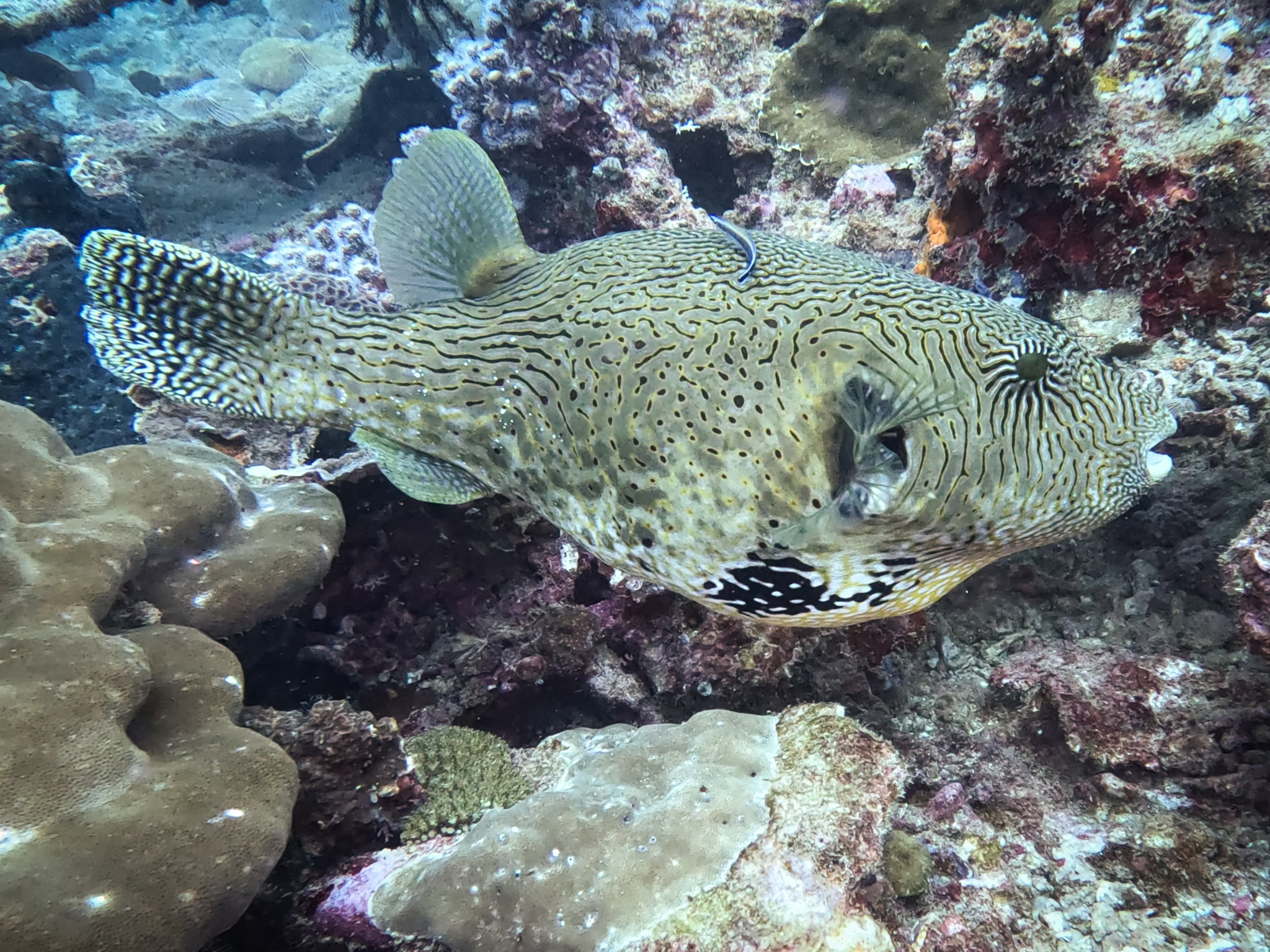 480904213_10161967152056281_5428682411264012637_n