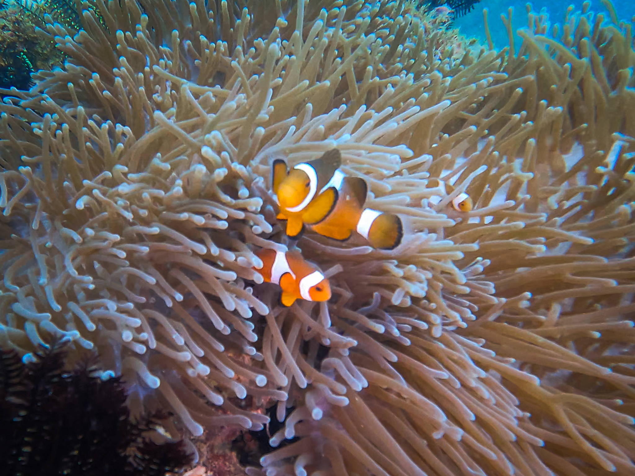 480930538_10161967152576281_4790169733702347794_n