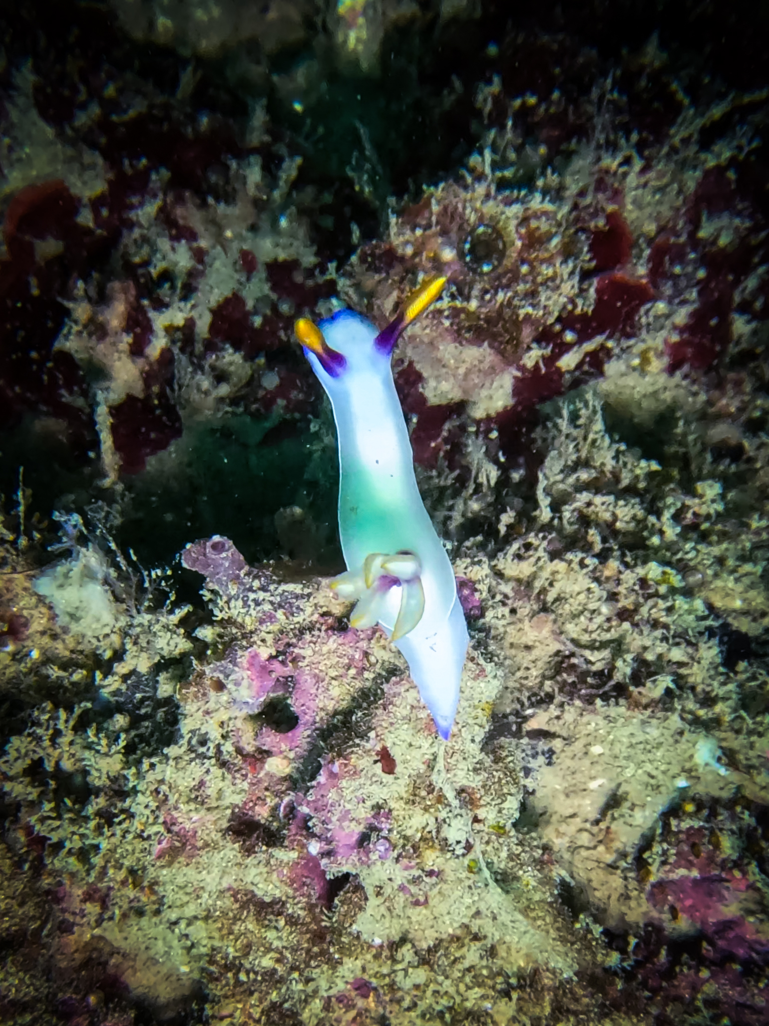 480937208_10161967150741281_626627631168509345_n