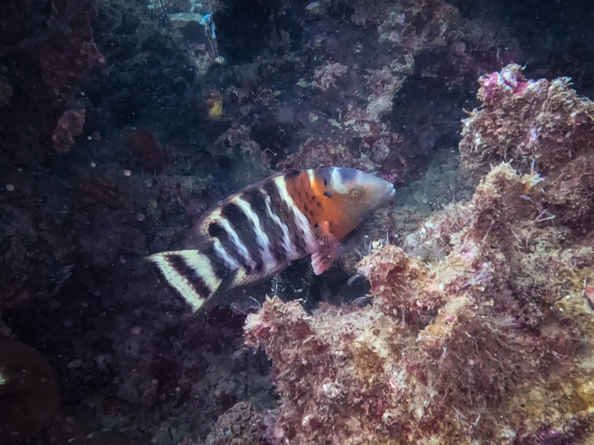 480975806_10161967151161281_1834054513549814289_n