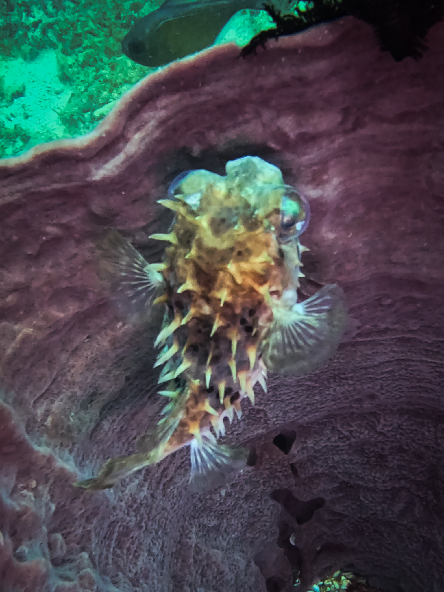 481070481_10161967151001281_651501768673469700_n