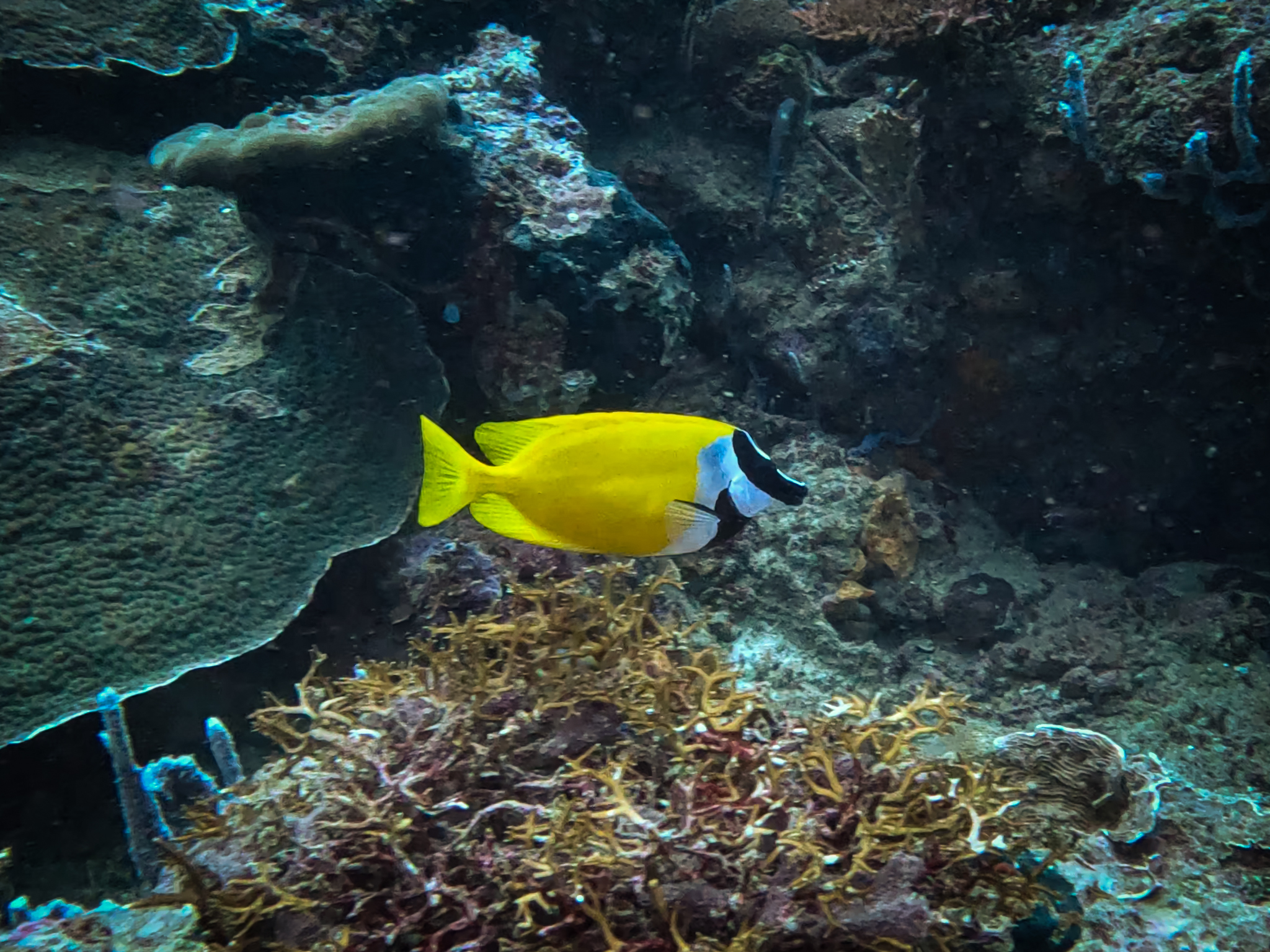 481108922_10161967151811281_4741156686881977258_n