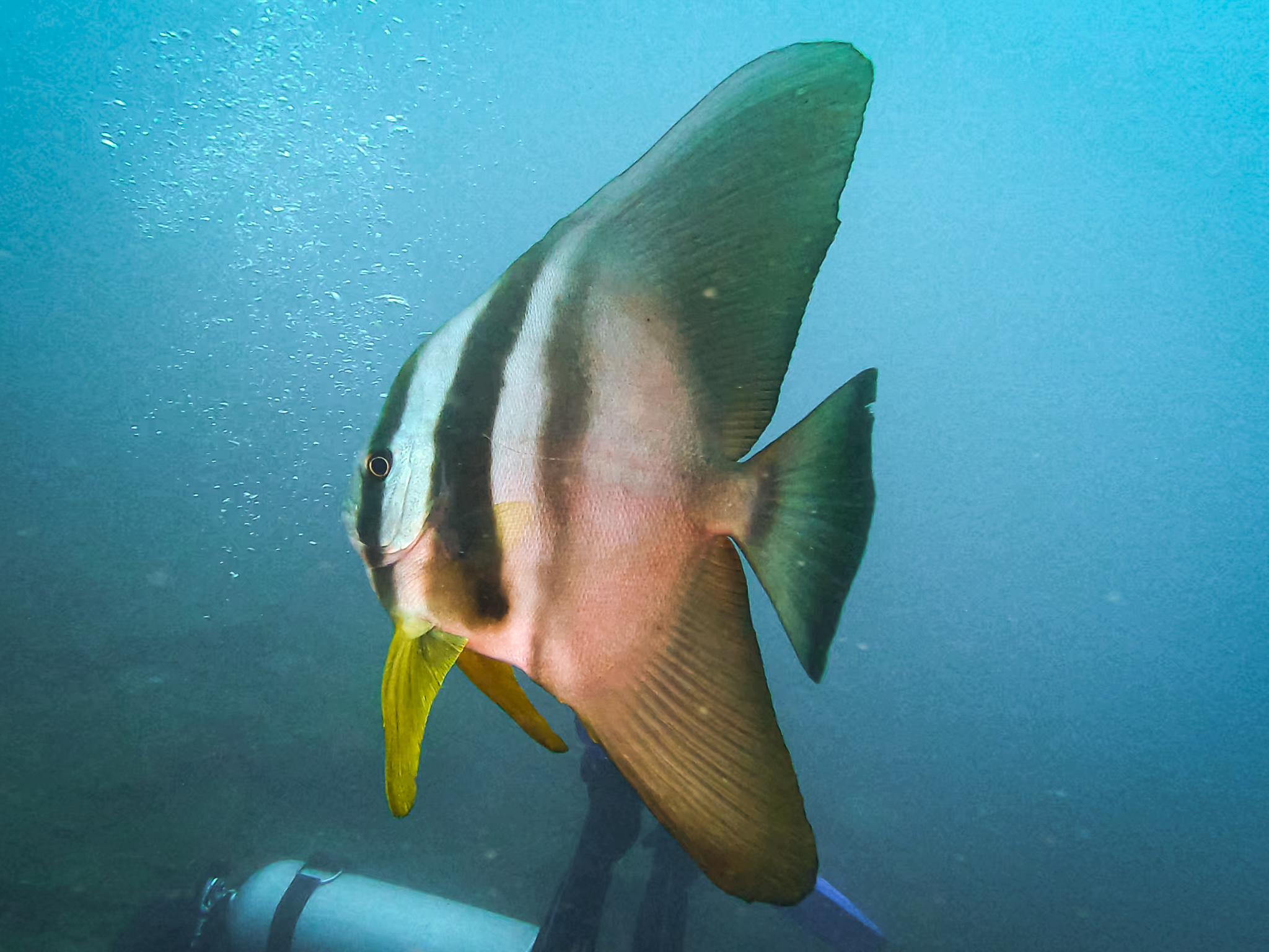 481191186_10161967152276281_8097195377950690348_n