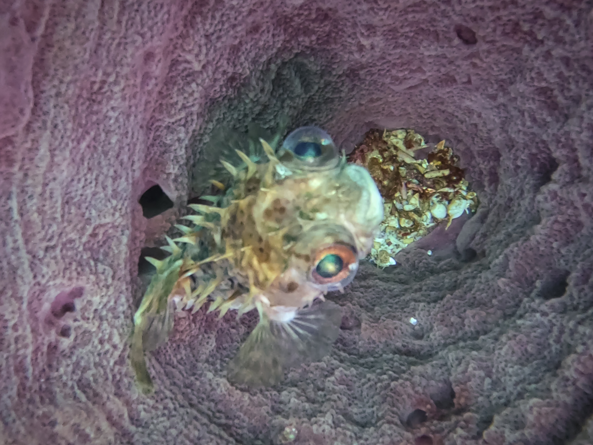 481209817_10161967150951281_3392845345184773208_n