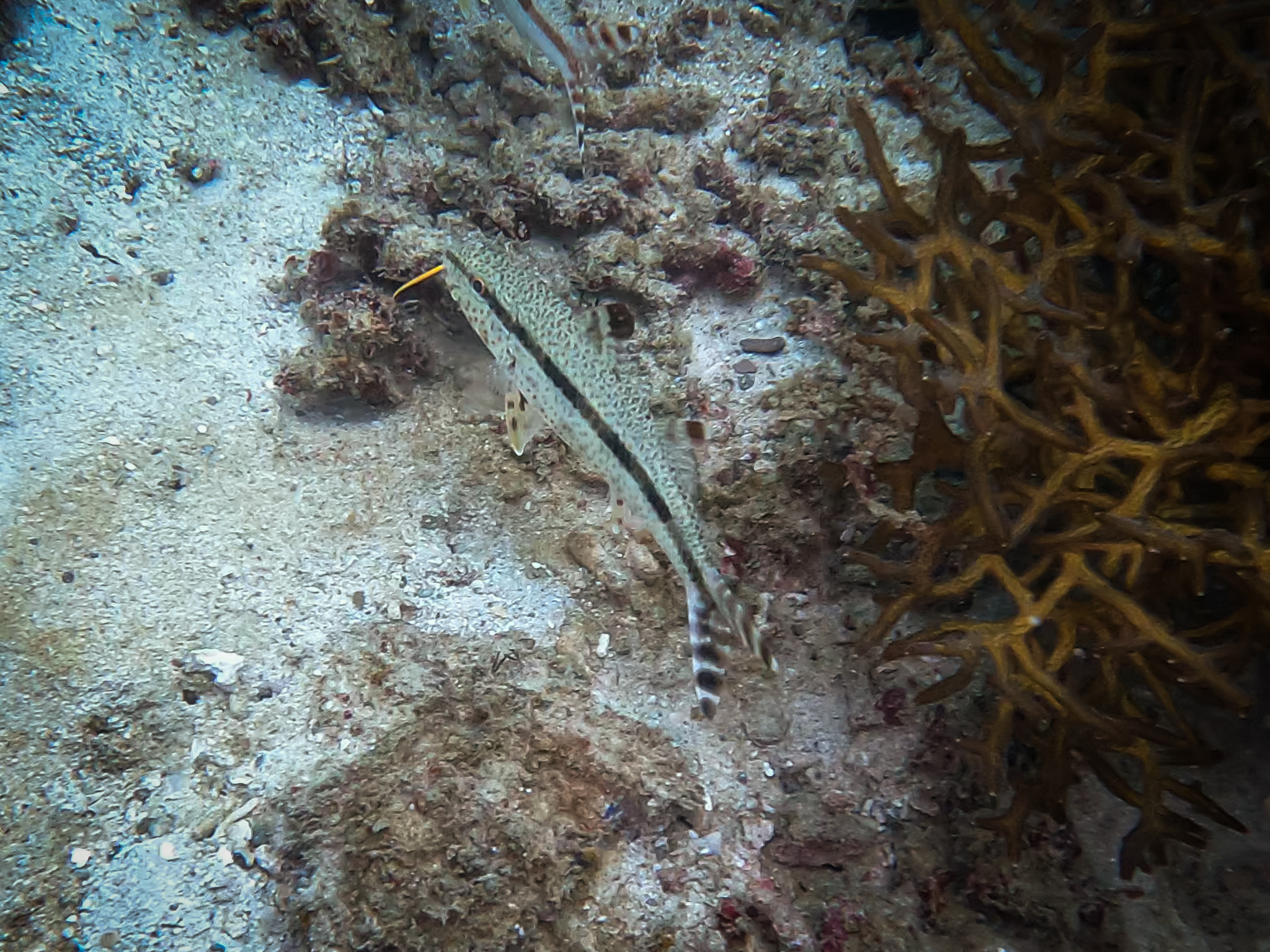 481235806_10161967152556281_1982584385456927878_n