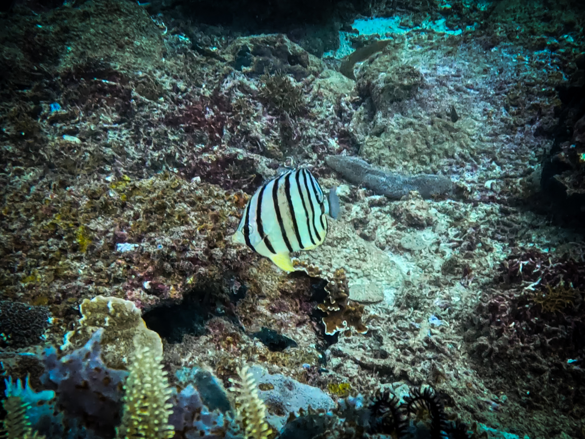 481262346_10161967152261281_8472196446328579605_n