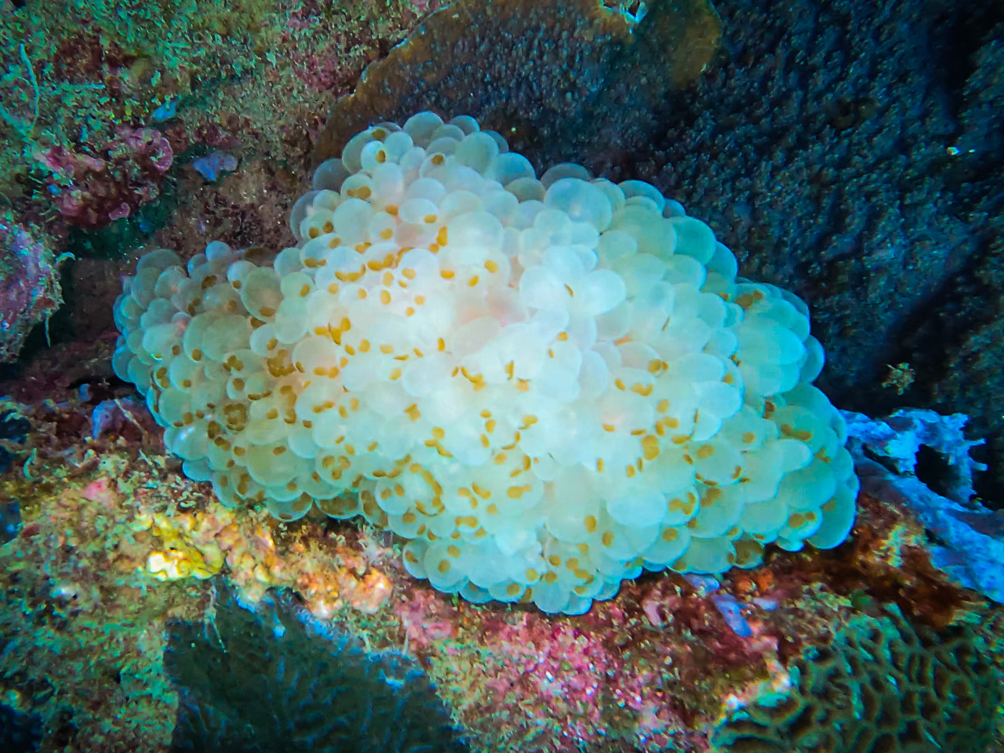 481452368_10161967152501281_8009916931005498486_n