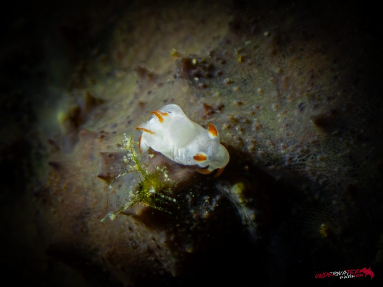 557603369_122134375904934599_5002097964254936157_n