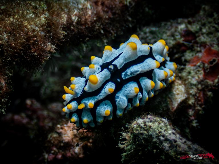 557843404_122134620956934599_179956931284819934_n