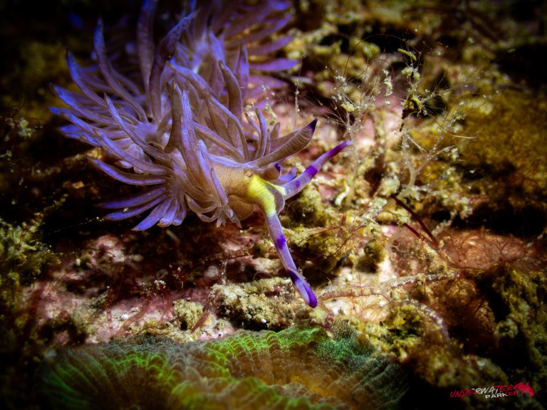 558471187_122134375730934599_2873557785380201305_n